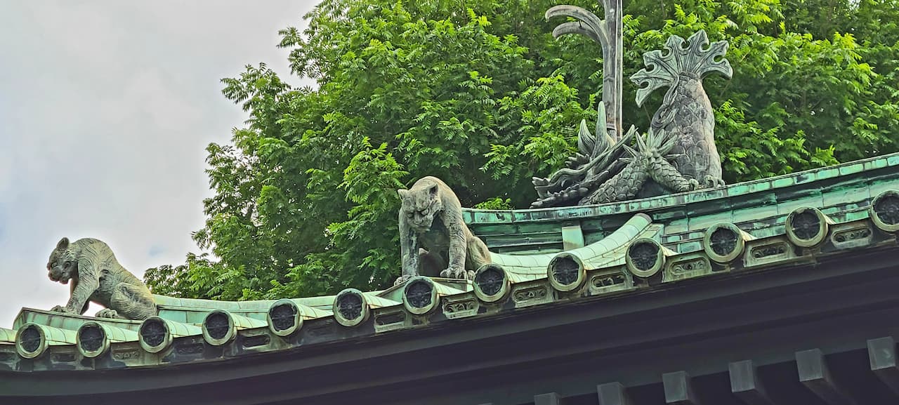 屋根の上の鬼龍子（きりゅうし）