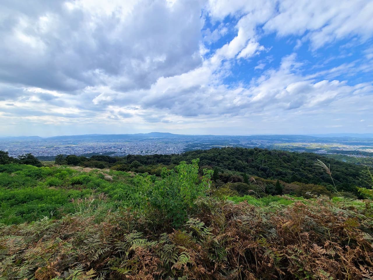 奈良 若草山 山頂の絶景