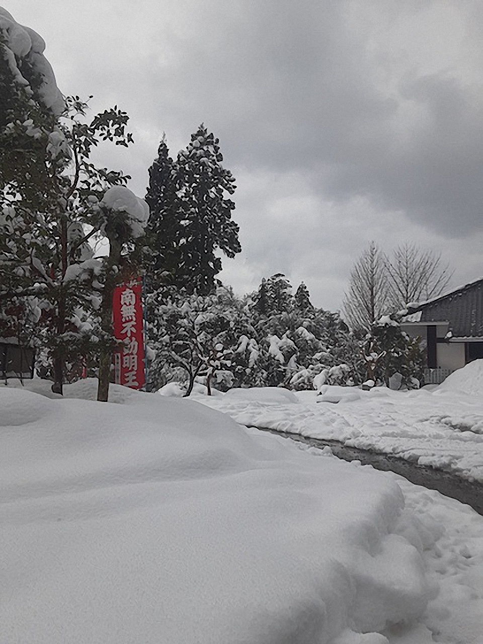 雪景色