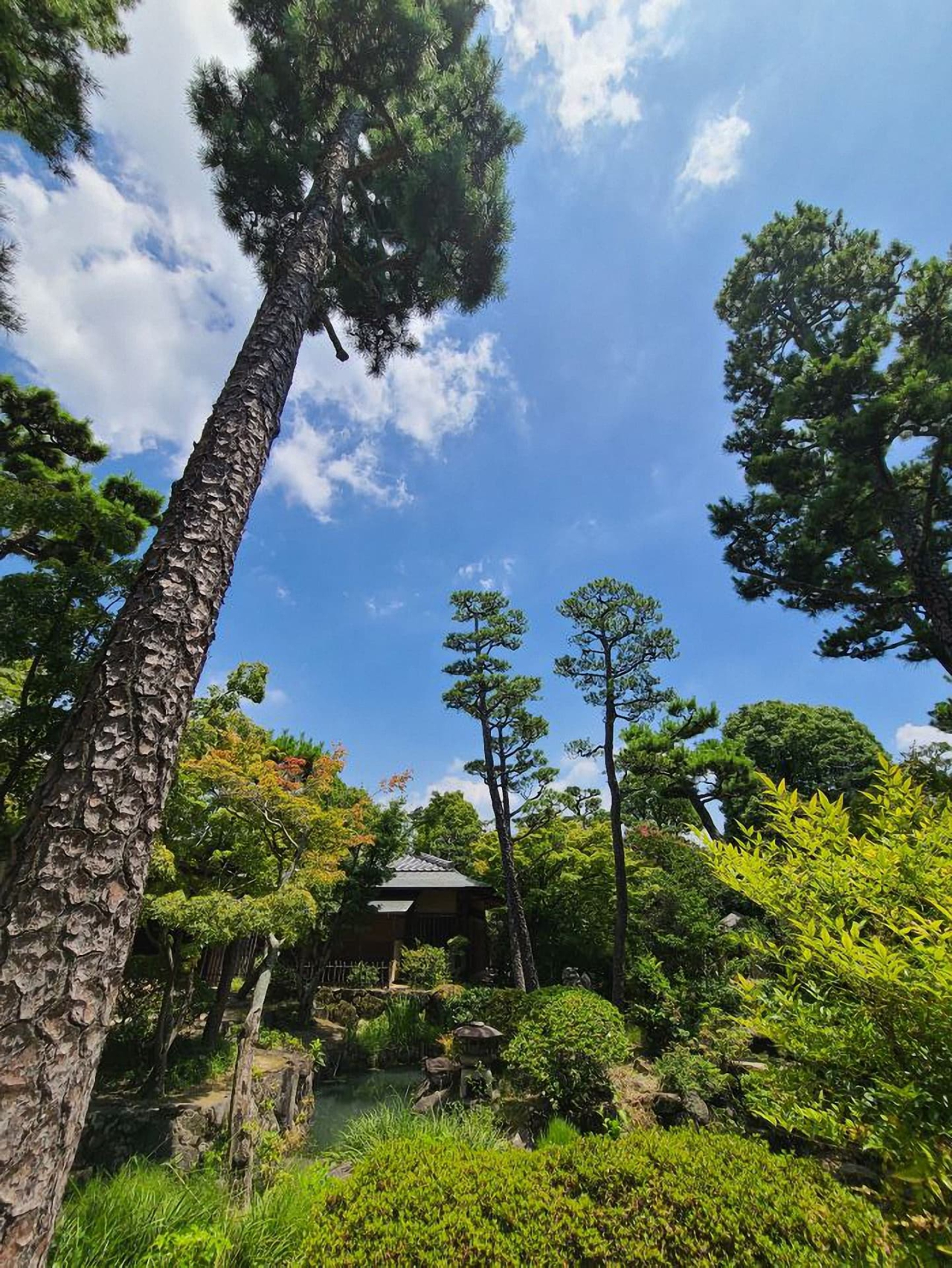 岡山 倉敷美観地区