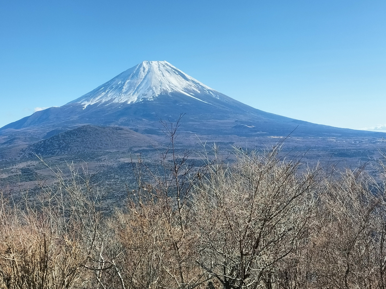 Fujisan on New Year's Day