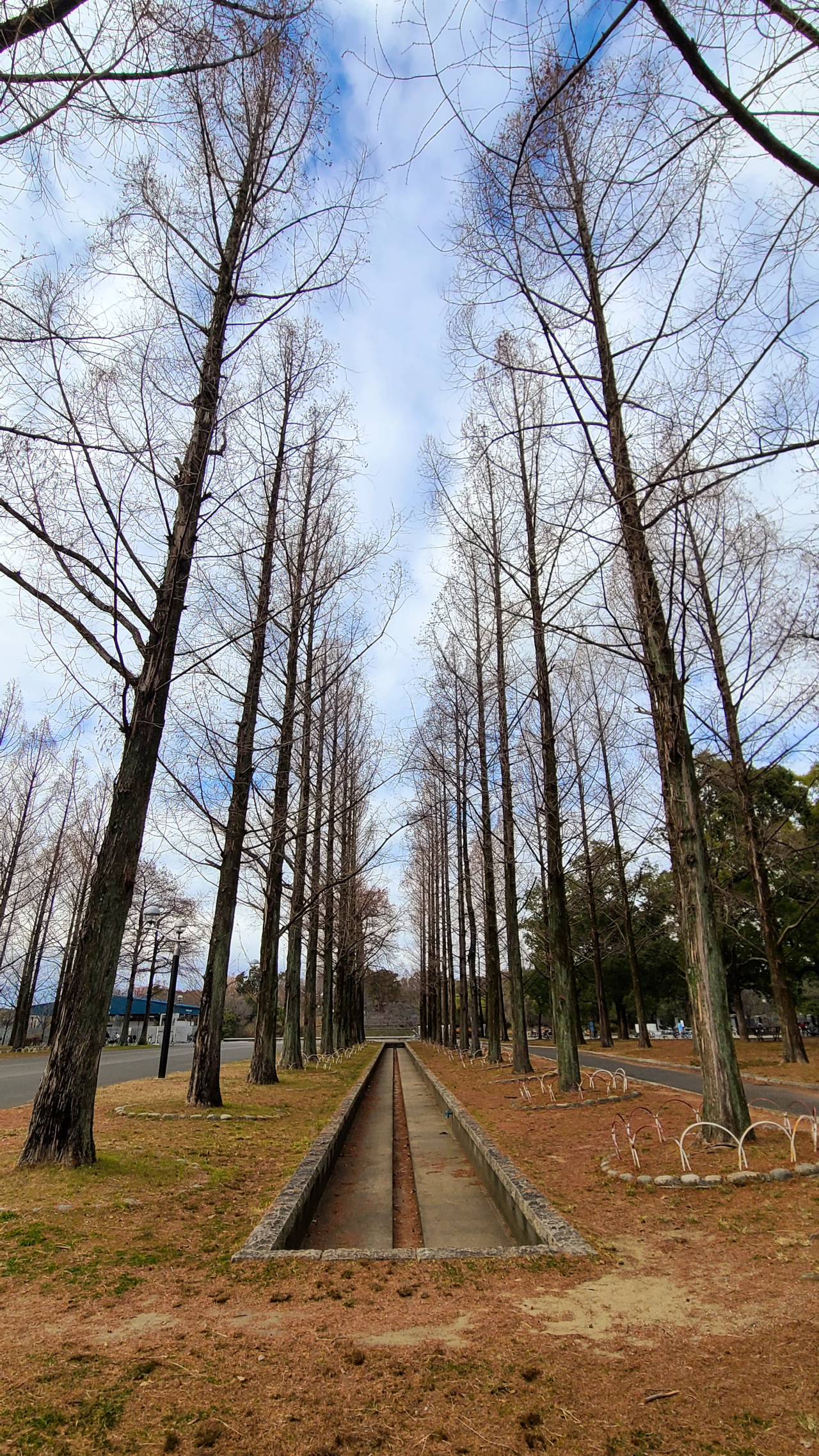 pleasant walkway