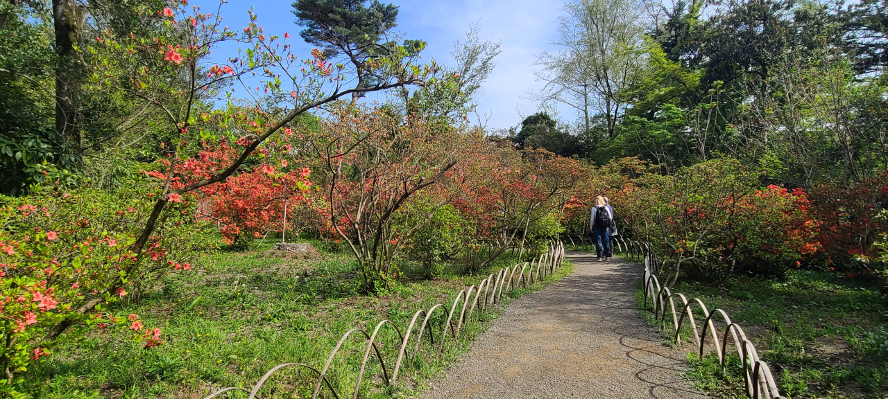 Tsutsuji-yama entrance