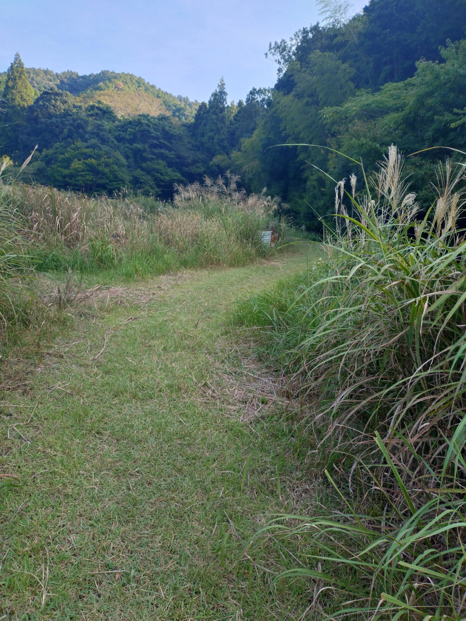 Satoyama Susuki