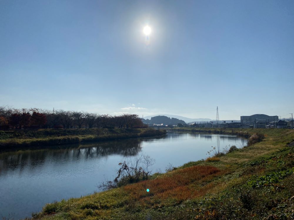 白鳥がいた川