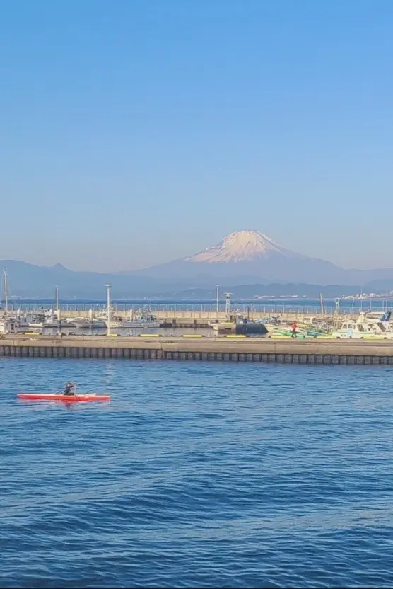 白い雪を頂いた富士が、青い海と空に映える