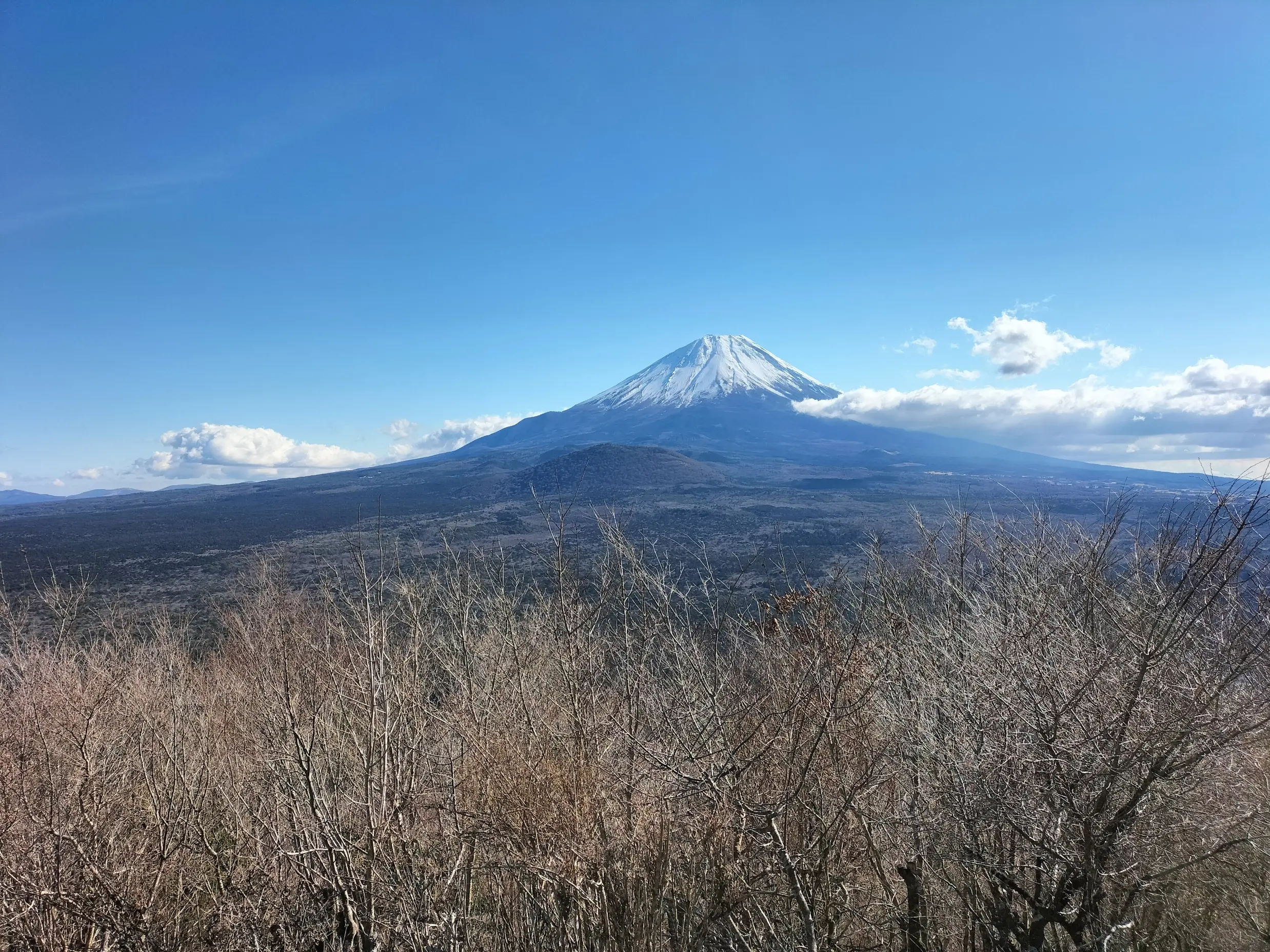 穏やかな姿の元日の富士山