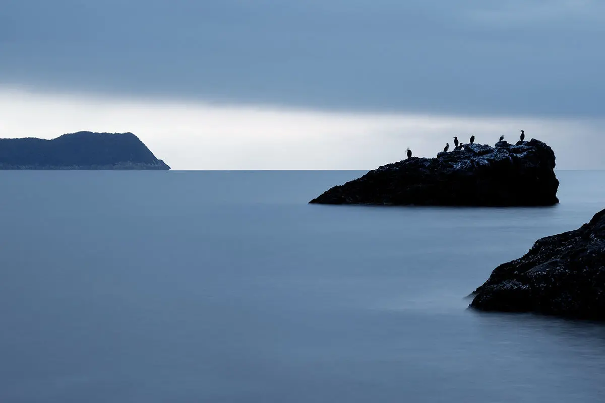 岩で翼を休める海鳥たち