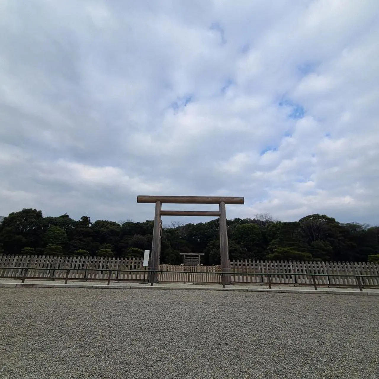 春一番の小さな訪問者