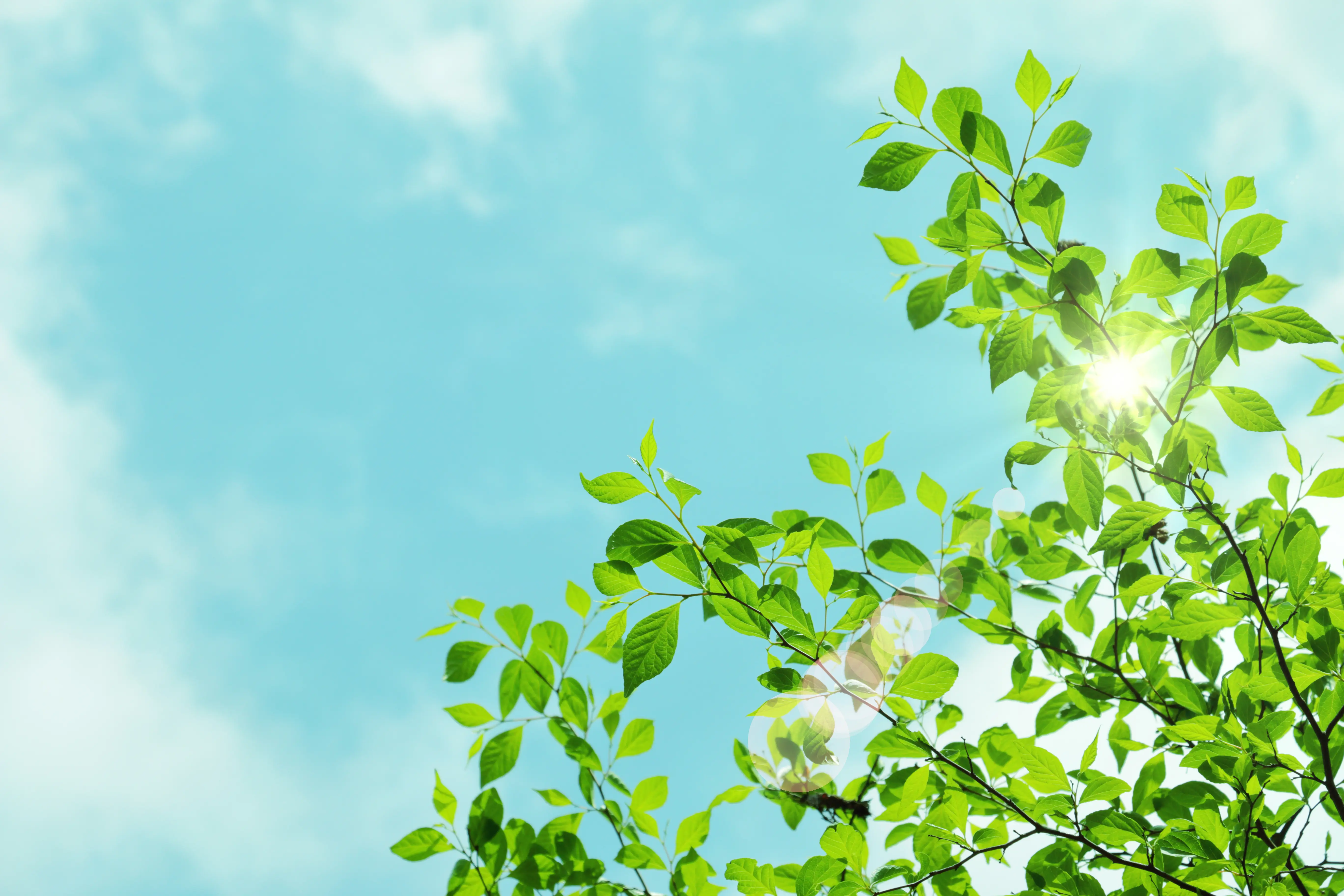 エニアグラム－タイプ別講座